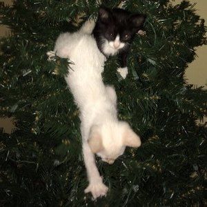 Meet your Posher, Cristina